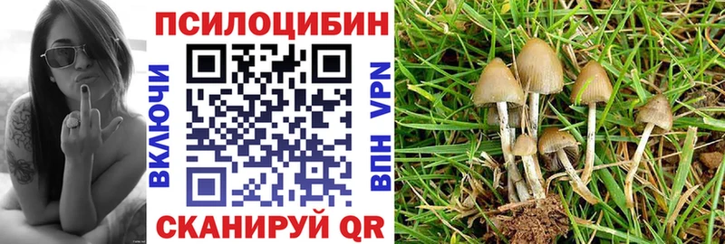 Псилоцибиновые грибы прущие грибы наркошоп hydra ССЫЛКА Славгород